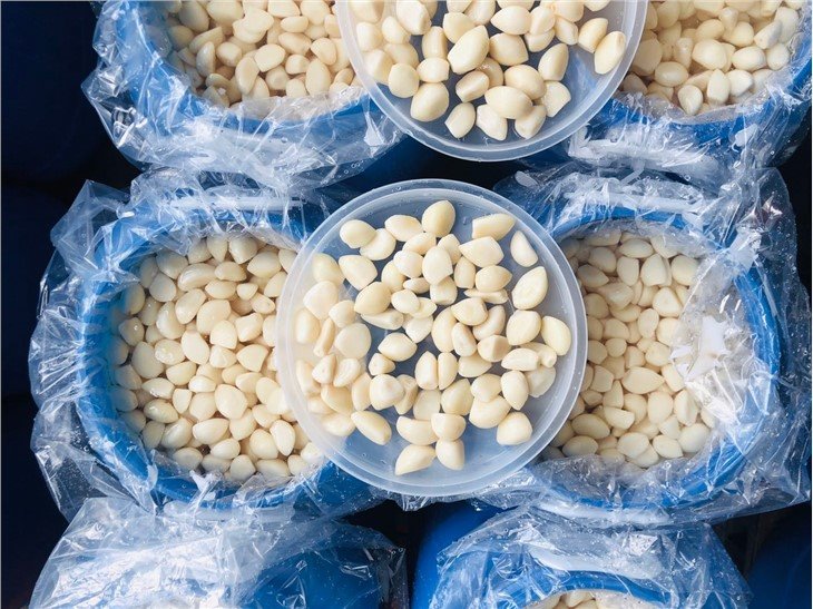 Pickled garlic cloves in salted water in drums