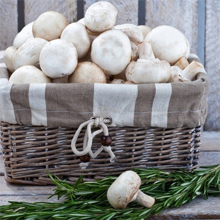 Pickled fresh white mushroom in brine in drums