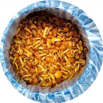 Madarch Nameko yn Drum