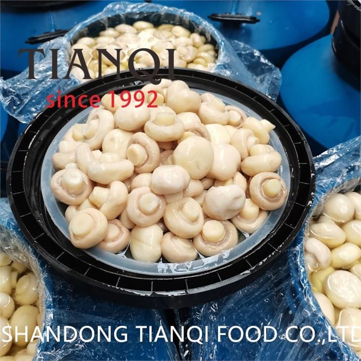 Brined champignon mushroom in plastic drums