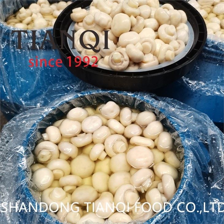 High quality drum packing white mushroom in salted water