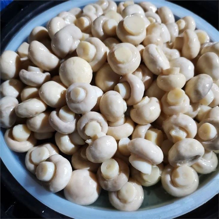 Drum package whole mushroom in vinegar