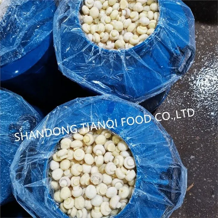 Whole white mushroom in vinegar in drums