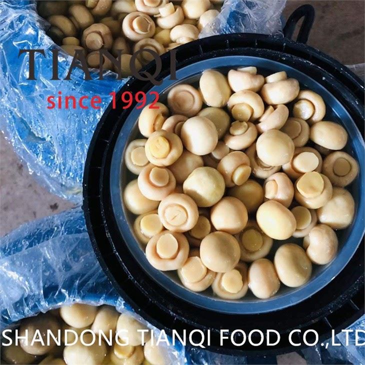 Best whole white Mushroom in Brine in Drums