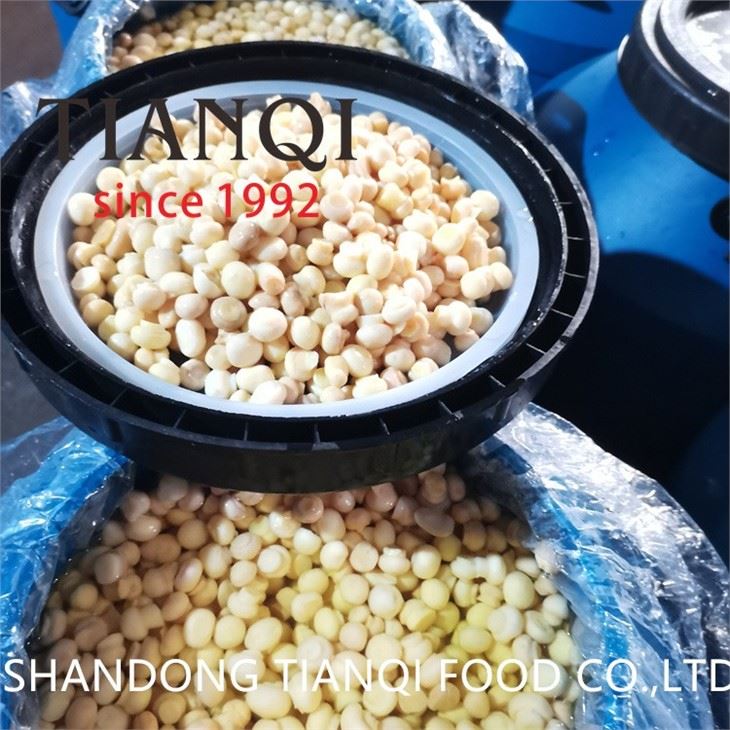 Salted White Mushrooms in Plastic Drums