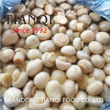 Madarch Botwm Premiwm mewn Drymiau heli