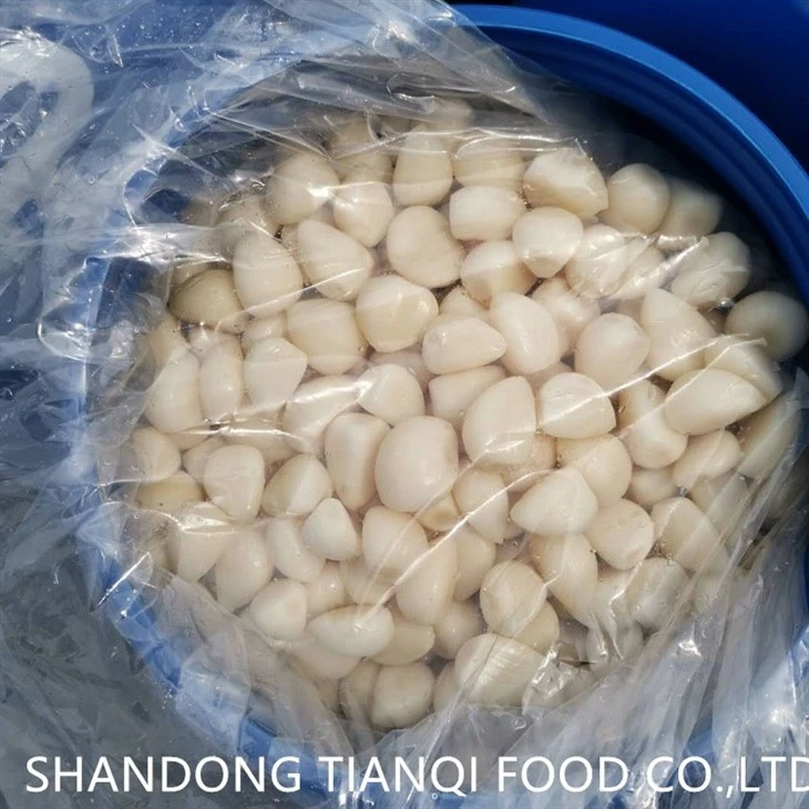 2023 New Crop White Garlic Cloves in Brine in Drums